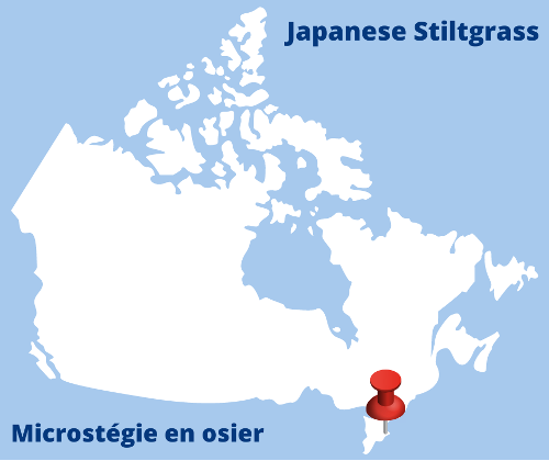 Invasive Species Ctr tweet media