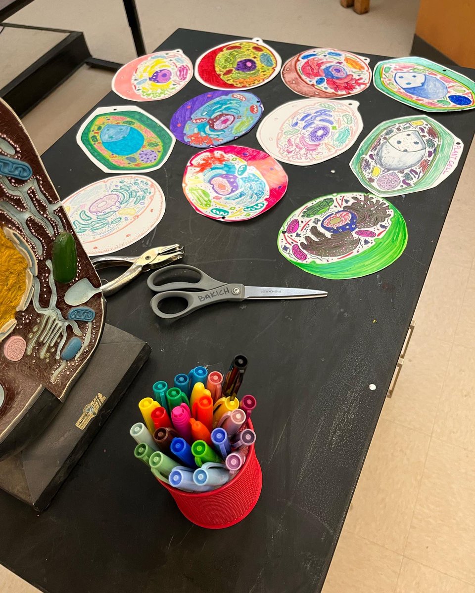 AP students created shrinky dink master pieces to become cell keychains next week we will put them in the ovens 😉❤️😍😎🖤