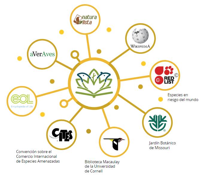 CONABIO's tweet photo. 🦎🐝🌲🐊Conoce más sobre #EncicloVida🦅🐒🍄🌻
Es una plataforma que reúne la información de registros de plantas y animales de colecciones científicas de México y la información proveniente de las plataformas de ciencia ciudadana #AverAves y #NaturaListaMx
https://t.co/HgD2gXuBVm https://t.co/UFXmMkpveC