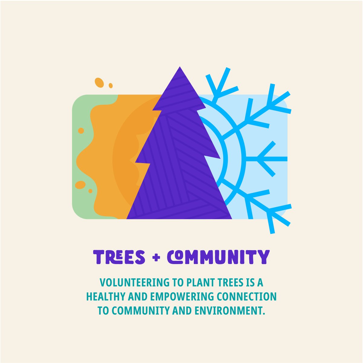 Friends of Trees 🌳 tweet media