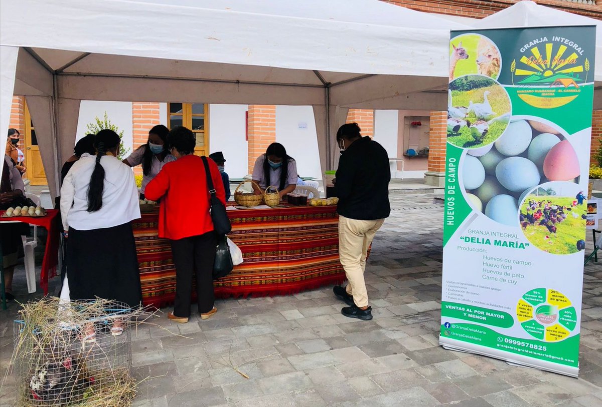 Agricultura_CZ1's tweet photo. Imbabura celebra el #DíaNacionalDelHuevo con el  Enlace Comercial  Mayorista  entre productores de huevo y representantes de hoteles, restaurantes y panaderías. Esta es una estrategia de promoción para la vinculación comercial y el impulso a la economía local.
#JuntosLoLogramos🥚 https://t.co/BoBou0L7eo