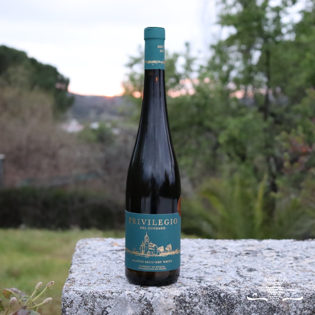 ¡No hay mejor manera que empezar el fin de semana con una de nuestras botellas Privilegio en mano! 🍷

¿Con quién la compartirías? 🤔

#planesconvino #bodegasprivilegiodelcondado #dateelprivilegio #condadodehuelva #vinoblanco