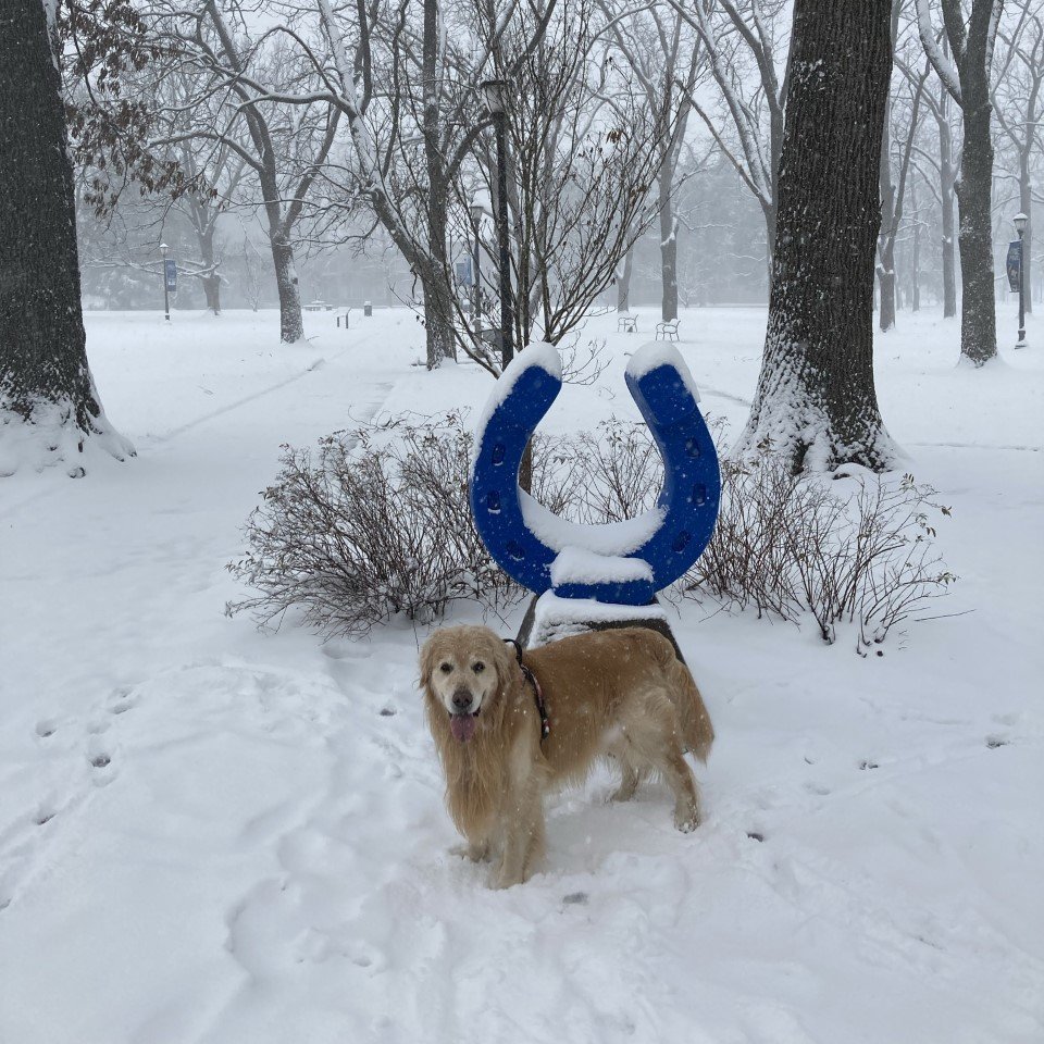 TNGirlsInSTEM's tweet photo. Meet one of our TN Girls in STEM workshop leaders, Nova 🐾 #scienceofthedog #mtsusciences #girlsinstem 

Sign up NOW for the April 9th conference:  https://t.co/XHwZE5QDOE https://t.co/FVWCSAxHAZ