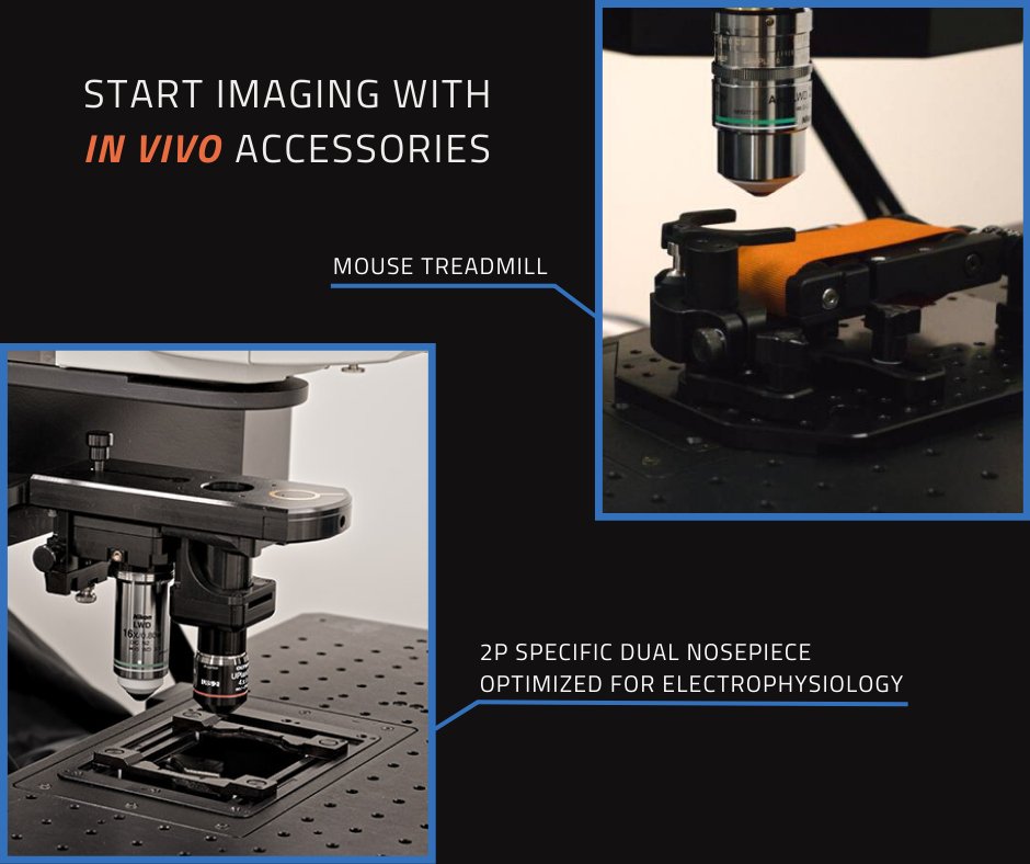 🧑‍🔬 #lifesciences are constantly evolving, and #invivoimaging requirements are changing accordingly.

🔬 Bliq offers custom essential accessories such as mouse holders, treadmills, specific nosepieces, incubators, and more!

Check out our accessories 👉 bit.ly/3ijJAB7
