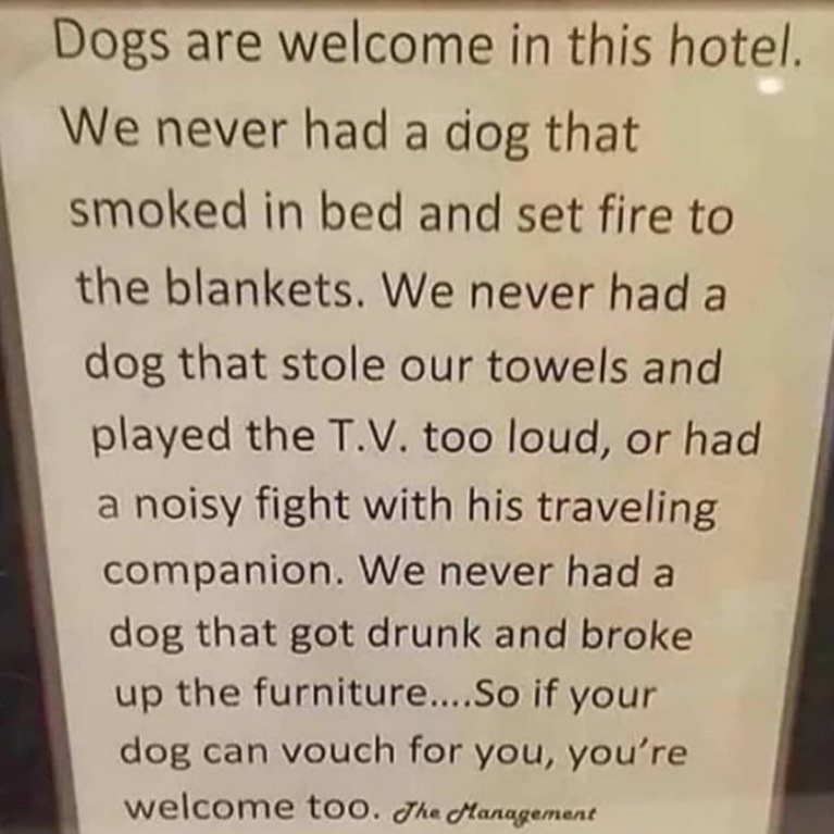 Can your dog vouch for you? 😂

For B&B inquiries
☎️Ring 01452 470109
📲linktr.ee/farmersboylong…

#dogfriendly #petfriendly #dogfriendlypub #familyfriendly #farmersboyinn #farmersboylonghope #farmersboyinn