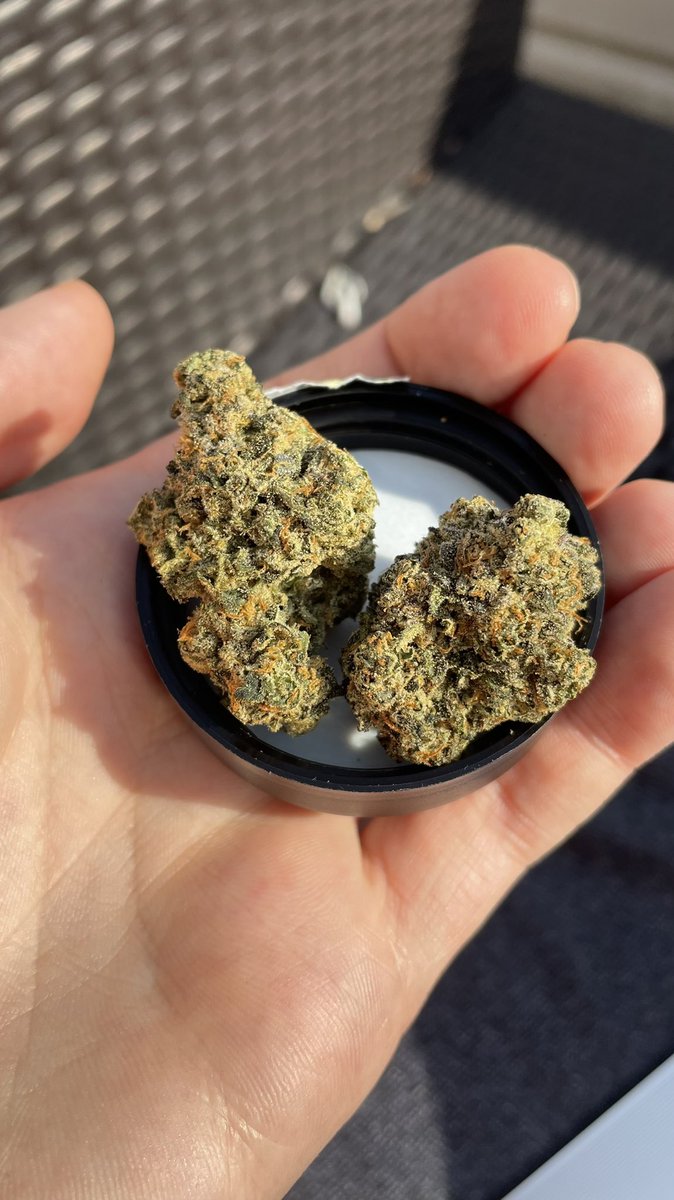 This aquaponic chronic is zestier than actual lemons 🍋 🍋 

Lemon loaf by <a href="/cake_caviar/">Cake & Caviar</a> <a href="/Habitat_LifeCA/">Habitat Life</a> via <a href="/GreentecMedical/">GreenTec™ Medical</a> 

#CanadianCannabis #CraftCannabis