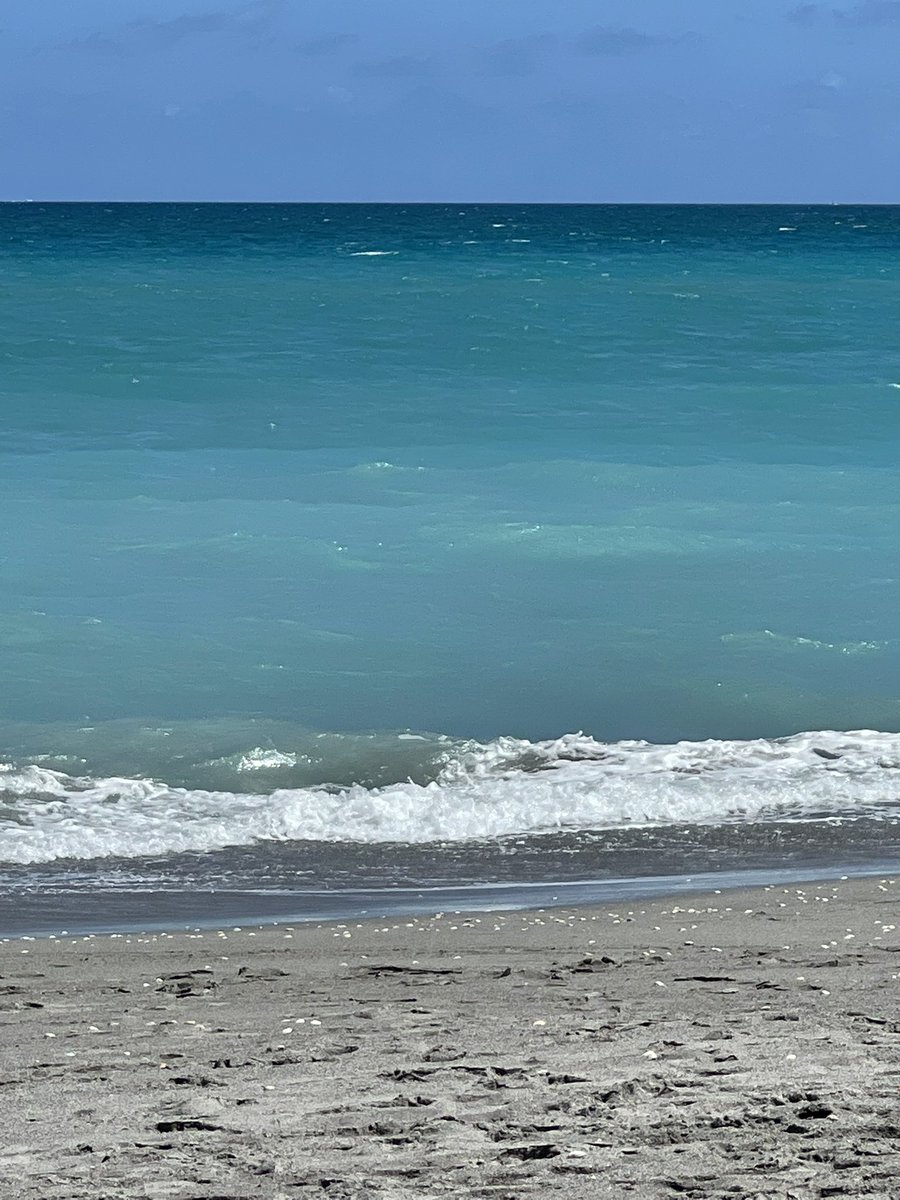 Kelly Kaplan tweet media