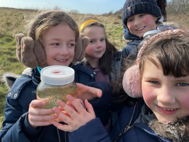 Johnshaven School tweet media