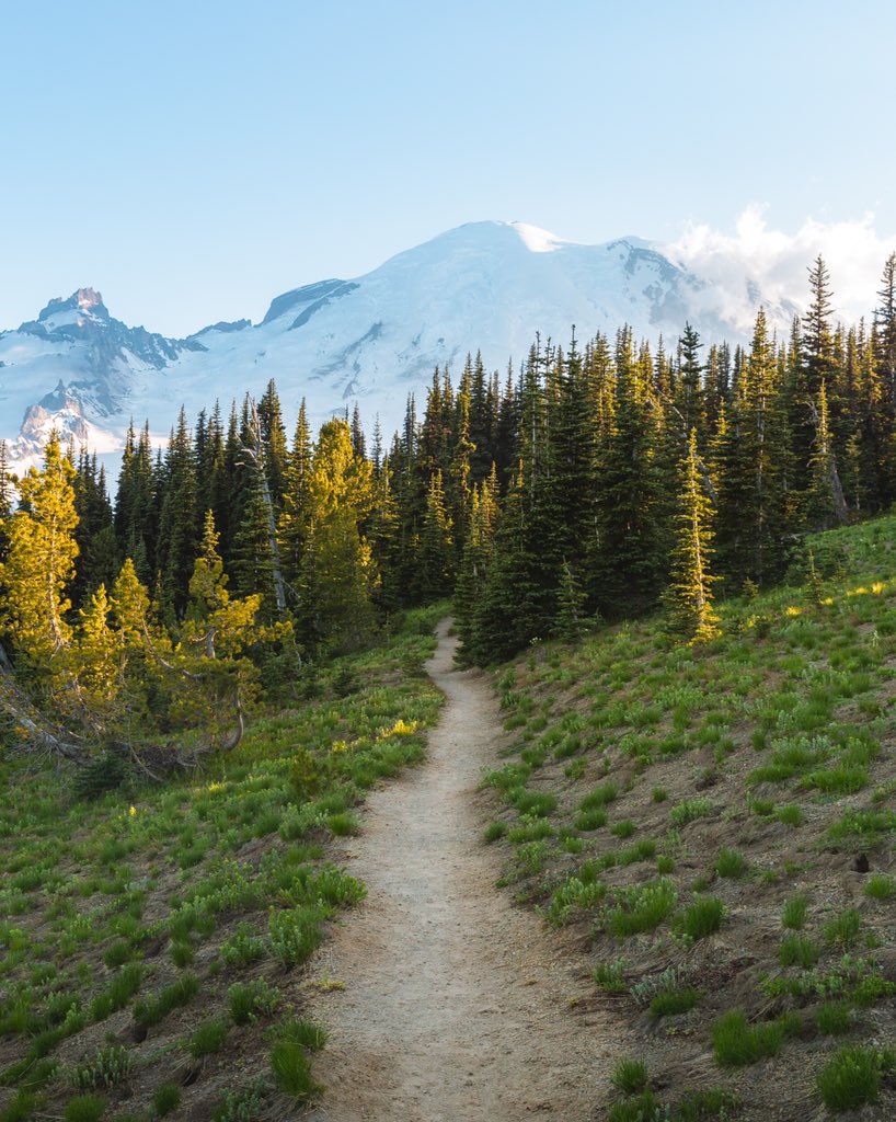 nathanaelbee's tweet image. Evening trails at Rainier ✨