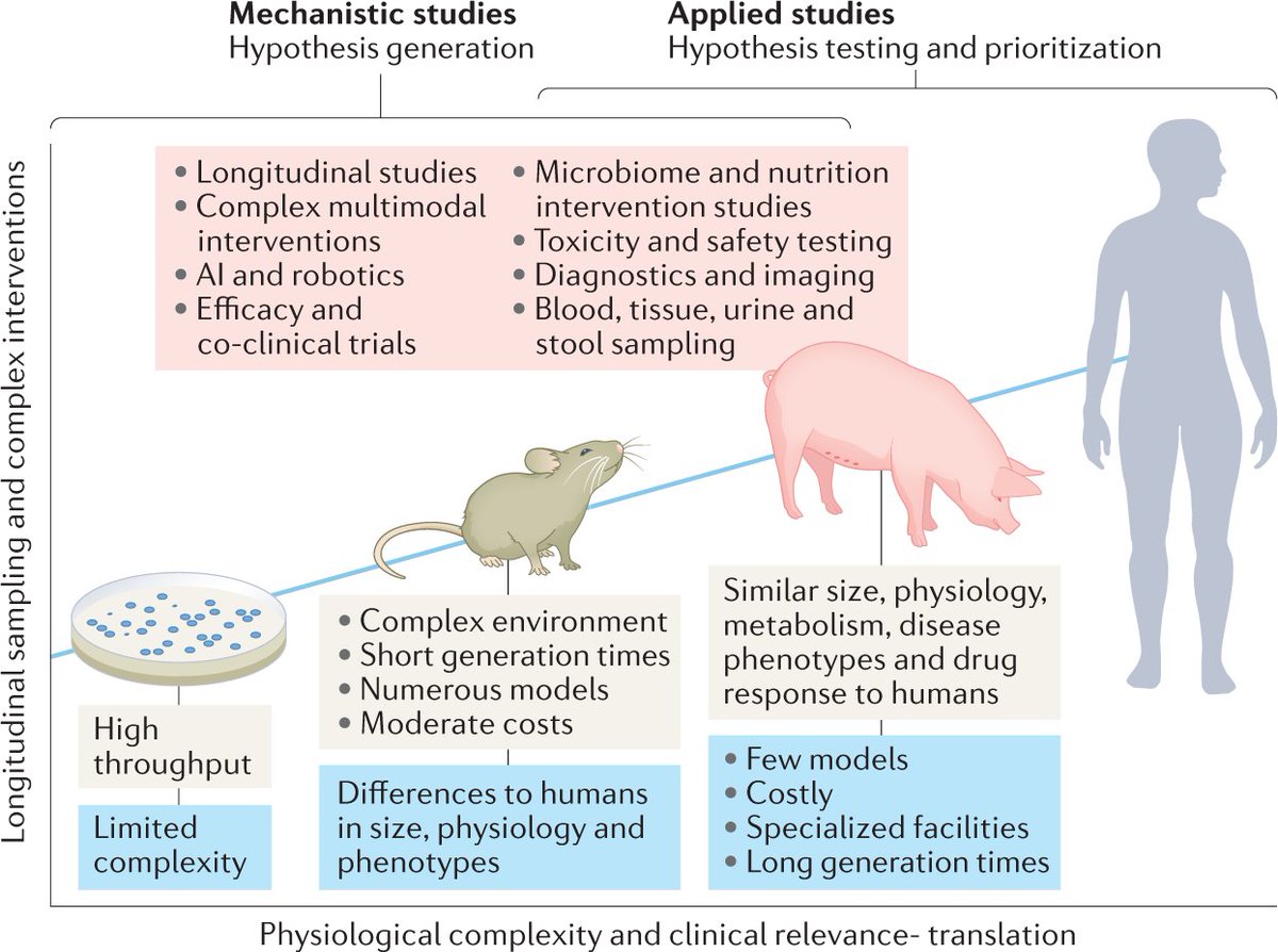 NatureRevCancer's tweet photo. NEW Comment! Saur & Schnieke present an argument for porcine cancer models filling a gap in the development of complex cancer therapies and multimodal interventions.
https://t.co/7LixsXNWMl
@natrescancer #CancerTherapy #PreclinicalModel https://t.co/eB2IBGFdkx
