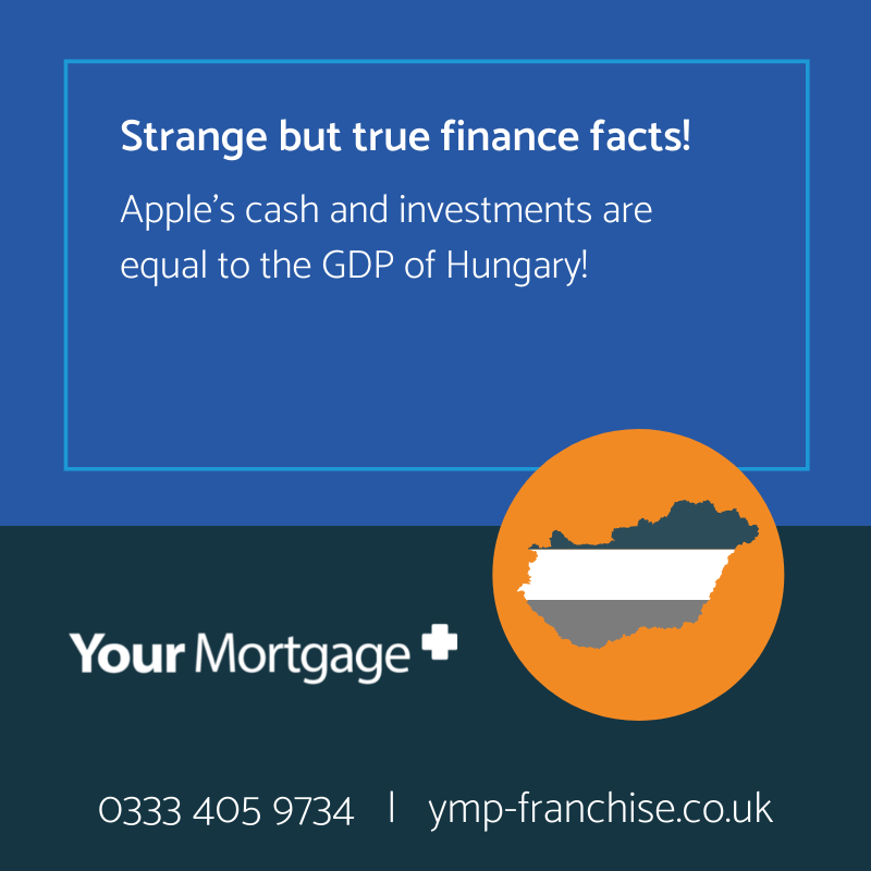 Your Mortgage Plus Franchise tweet media