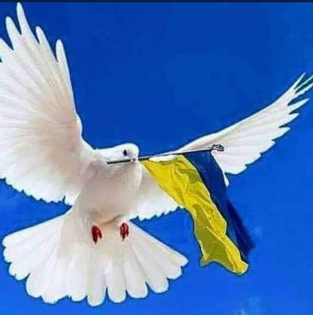 Hameledaemae's tweet photo. @ZelenskyyUa @eucopresident God bless you in finding peace in this treacherous war🙏🙏🙏 https://t.co/CaCfXc6lke