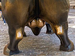 AzerothWoj's tweet photo. Per League Sources: Scottbrexit allegedly forced to go to the Hospital, due to a new serious condition titled “Titanium Testicles” - This is the same condition the Wall Street Bull suffers from. Prayers up for him 🙏 https://t.co/y5gpGqb8I6