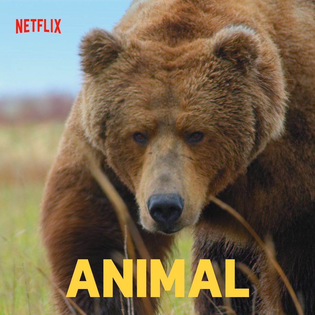 Bill Markham tweet media