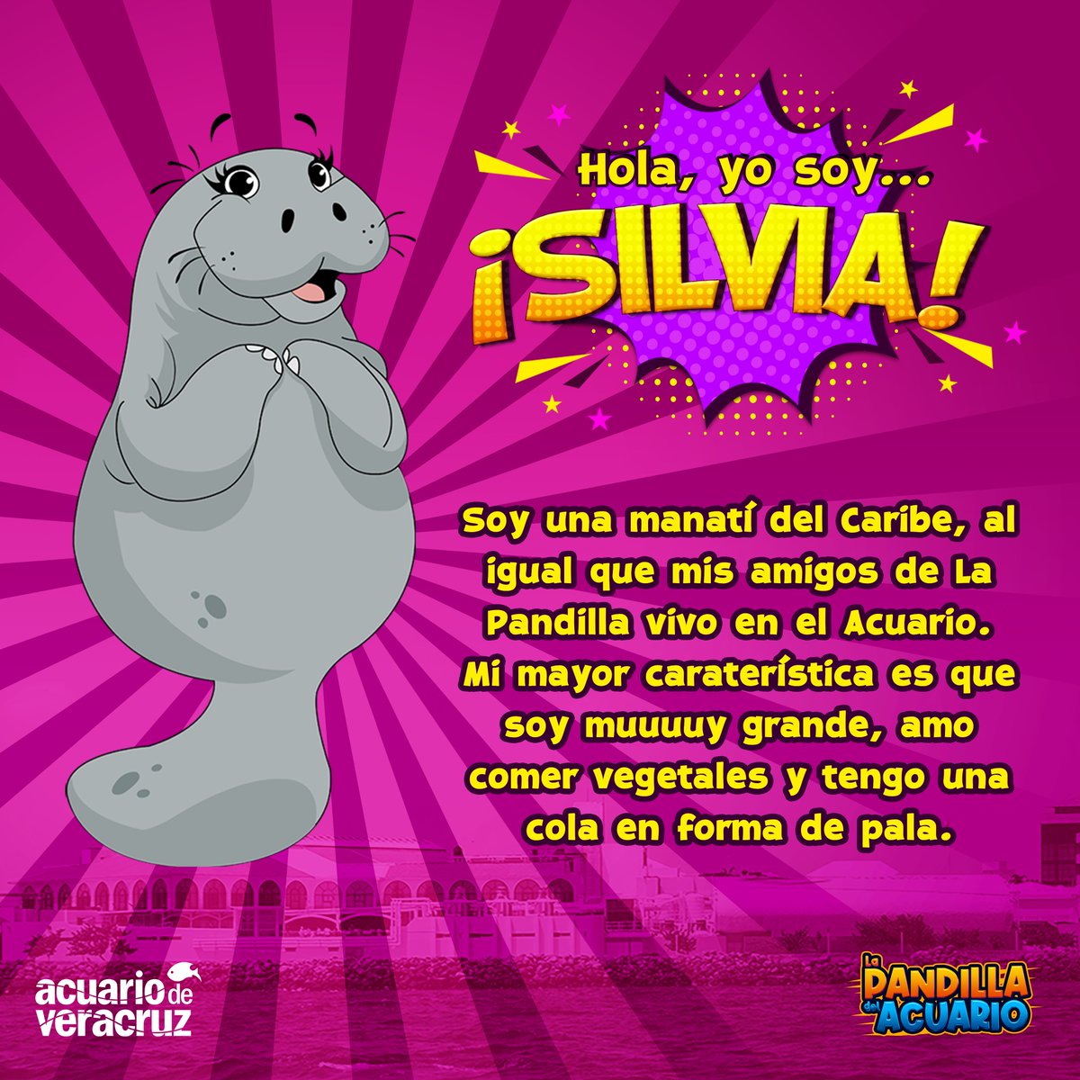 Ella es Silvia y es sencillamente adorable, muy pronto podrás saber más acerca de su historia.
Mantente pendiente de nuestras publicaciones para que puedas conocer a los demás integrantes de La Pandilla del Acuario.