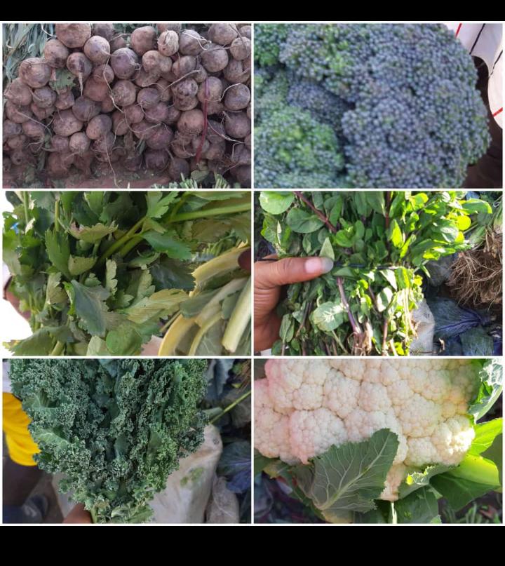 jos2theworld's tweet photo. #OnlyInJos
#OnlyInJos https://t.co/xBRkWhOK7T