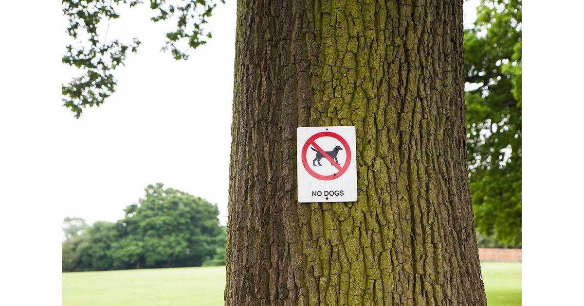 Rhino ball gets shut down
pitchero.com/clubs/leedsmed…