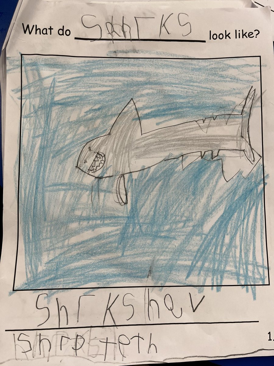 Aolani Evelyn tweet media