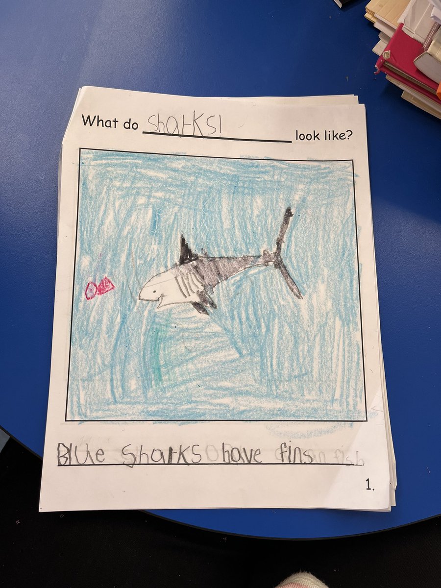 Aolani Evelyn tweet media