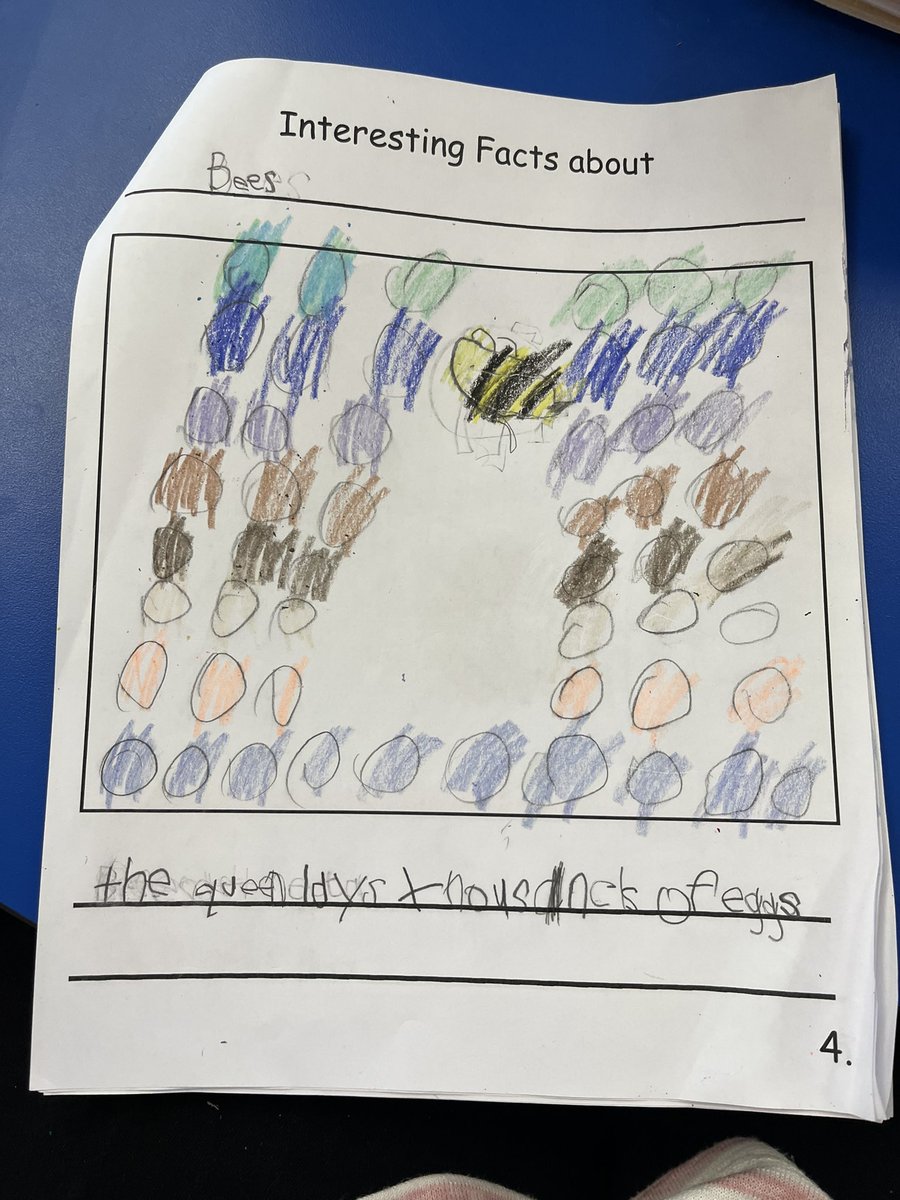 Aolani Evelyn tweet media