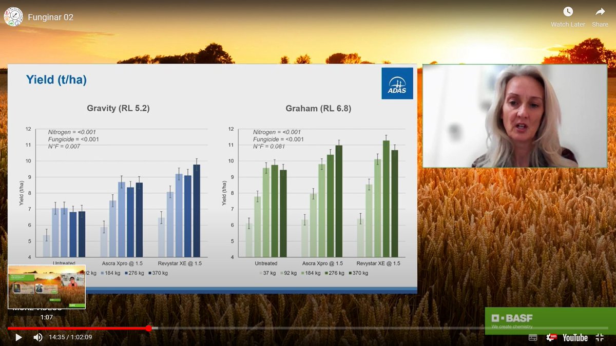 BASFcropUK's tweet photo. Our second #Funginar is now available on replay:
#Wheat disease control & #Nitrogen efficiency
🎙️Guest speakers @JulieSmithADAS @adas and @jon_helliwell
Watch on demand here: https://t.co/mebcnOuPql https://t.co/GLdor71hcY