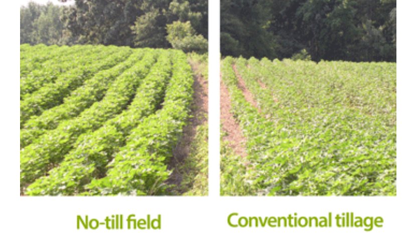 Natural Resources Conservation Service tweet media