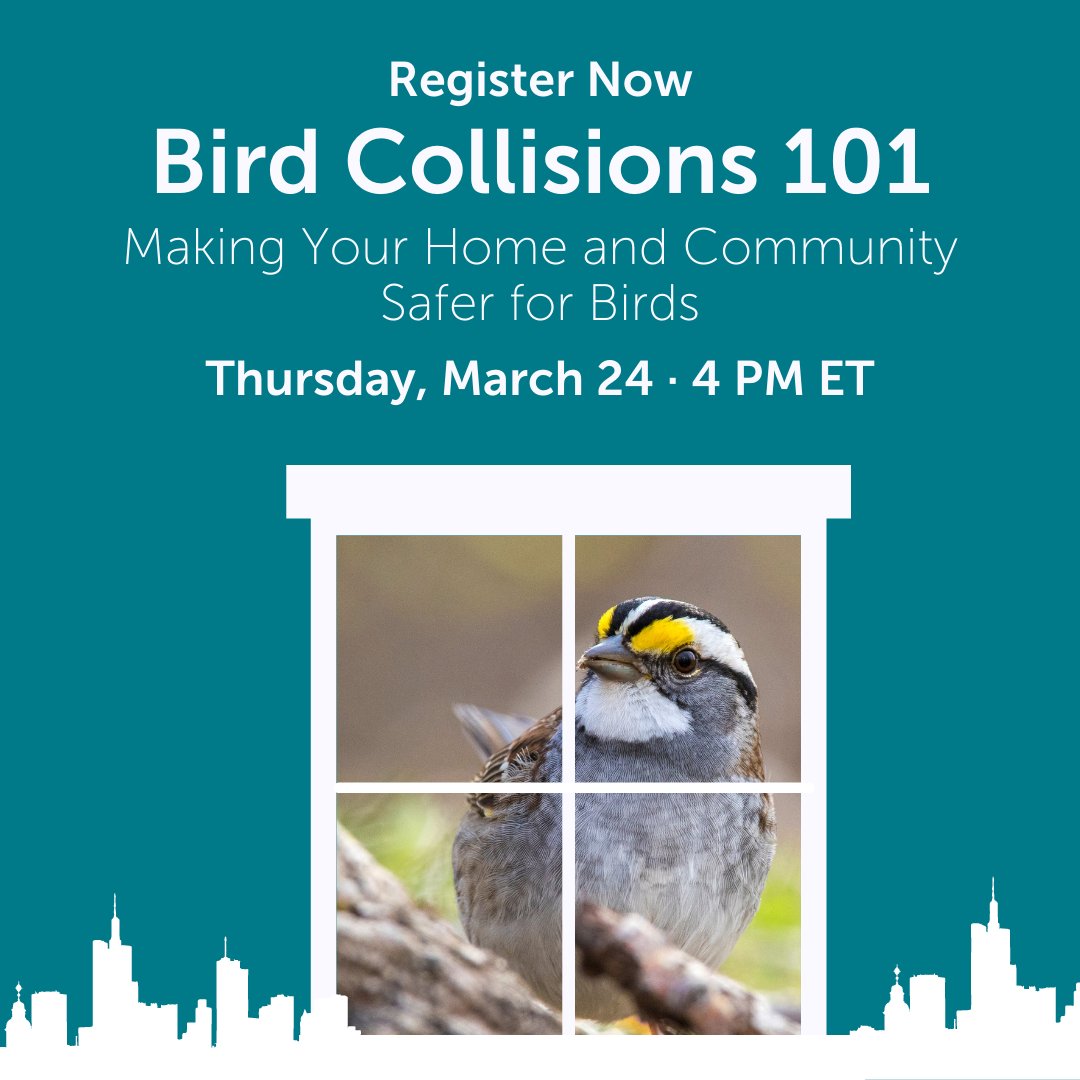 American Bird Conservancy tweet media