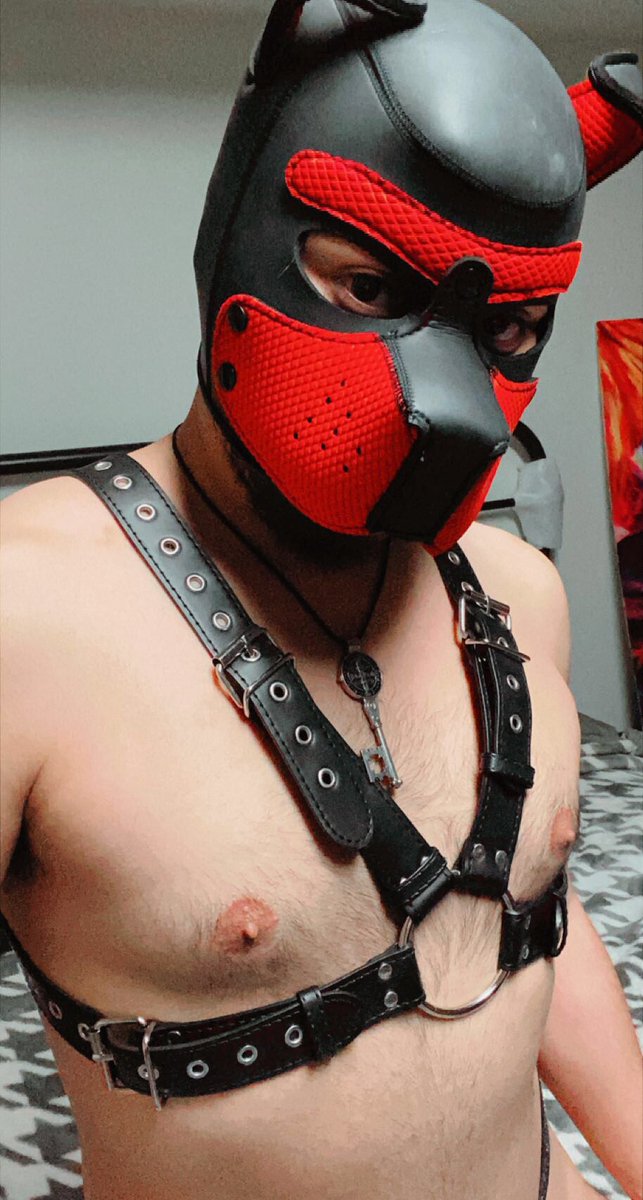 AlphaRoberto971's tweet photo. Hey guys long time no see! I haven’t posted in awhile so hope u enjoy these and lemme know what you guys think😋#leatherpup#gay#bi#lgbt https://t.co/do6BG6sheL