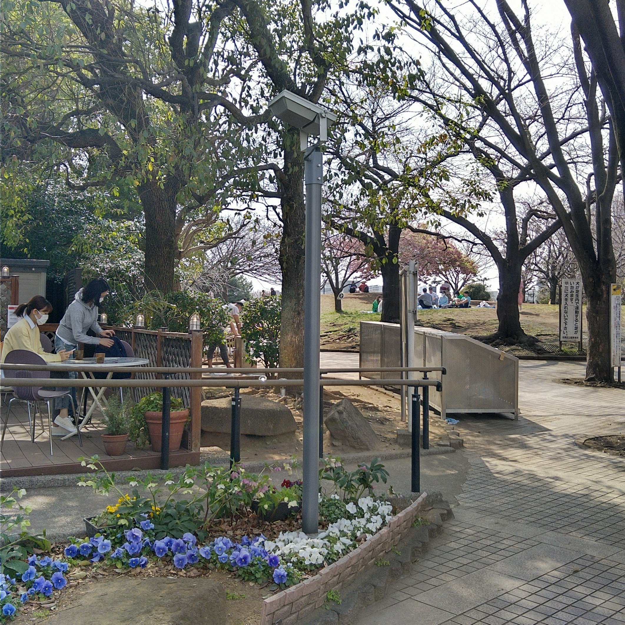 廣瀬一京 代官山のおすすめデートスポット 西郷山公園 T Co Nnf5ytzcog 代官山駅からここまで来るは少なめ 芝生でゴロゴロしても気持ちいい 西郷山公園 旧山手通り 代官山のおすすめデートスポット T Co Ykspyli1ua Twitter