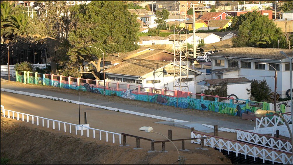 essbio's tweet photo. Estamos felices de ser parte de esta iniciativa   que permite visibilizar la importancia de los humedales y su protección.Este hermoso mural que inauguramos hoy se encuentra en nuestro recinto de #Pichilemu frente a la Laguna Petrel @MuniPichilemu @CDSusPichilemu @ExploraOHiggins https://t.co/seVylggNqG