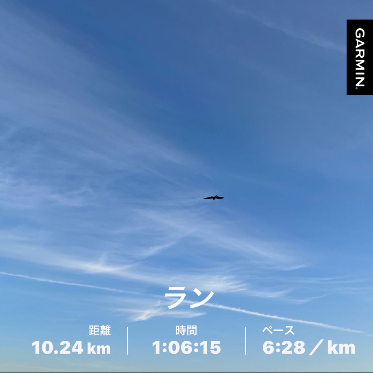 lovefiat's tweet photo. 今週の供ラン
#beatyesterday #garmin https://t.co/DtCNjtDJr5