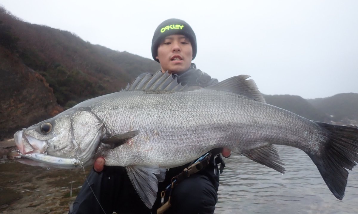 tabaz_'s tweet image. 85cm
波あり、微風、ベイト有りで最高の条件でした！！緊張した（笑）