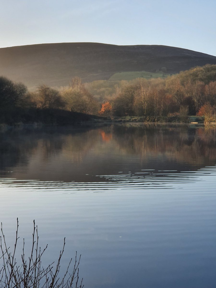 'Tis The Damn Readathon tweet media