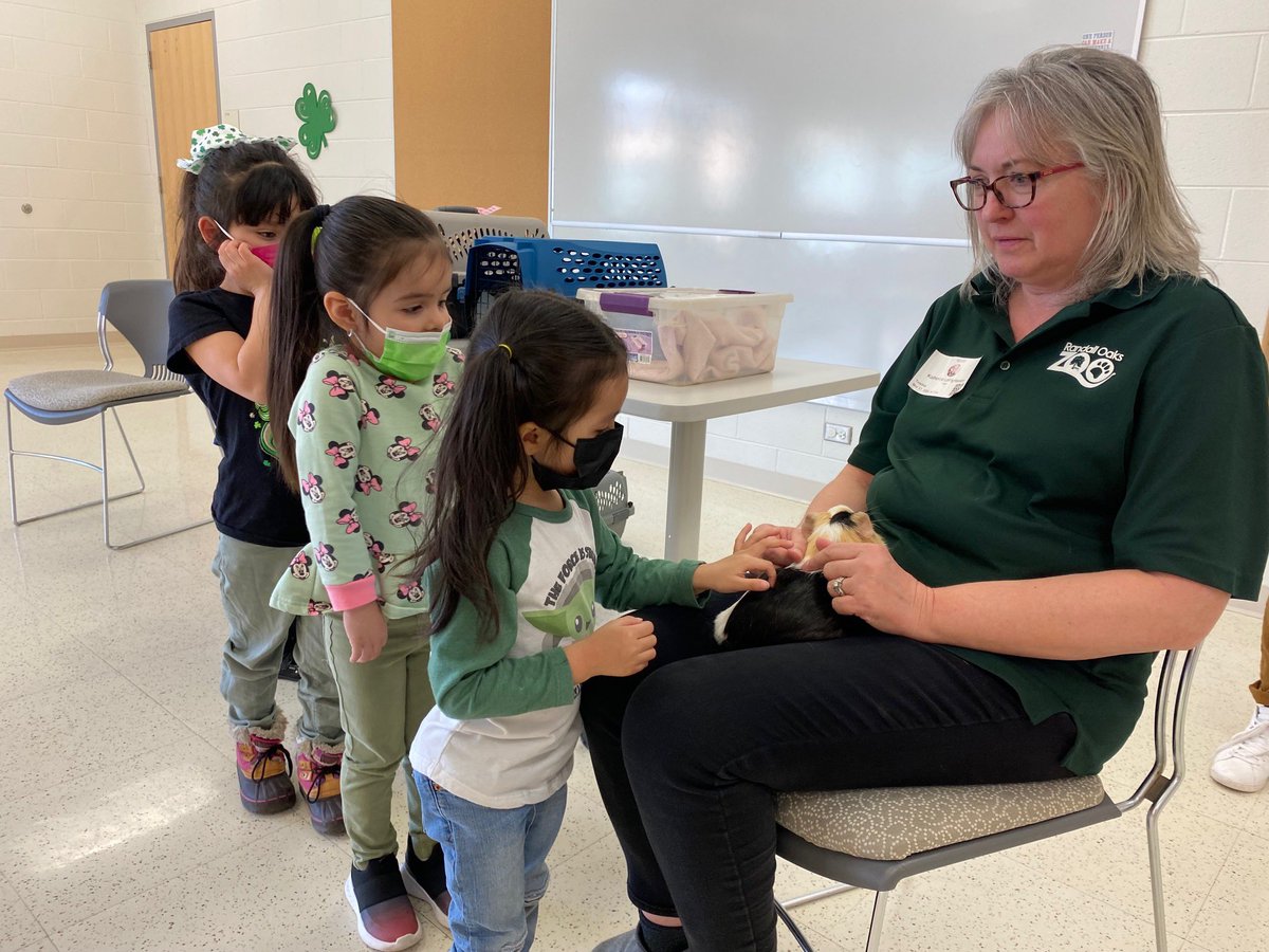 MsAcosta220's tweet photo. We ended the week with Randall Oaks creatures & animals visiting our school!! We furthered our understanding and vocabulary in regards to animals #PetUnit @TeachStrategies #CreativeCurriculum #RandallOaksZoo #SeetheStudent220 https://t.co/IG96zhjTTc
