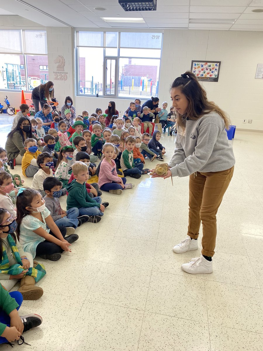 MsAcosta220's tweet photo. We ended the week with Randall Oaks creatures & animals visiting our school!! We furthered our understanding and vocabulary in regards to animals #PetUnit @TeachStrategies #CreativeCurriculum #RandallOaksZoo #SeetheStudent220 https://t.co/IG96zhjTTc