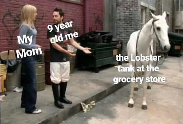 Baby Lobster Coin tweet media