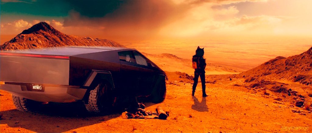 Good night $DOGE and @spacex frens 😉