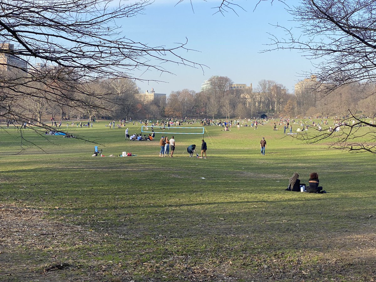 tomcvar's tweet image. I moved to New York for days like this