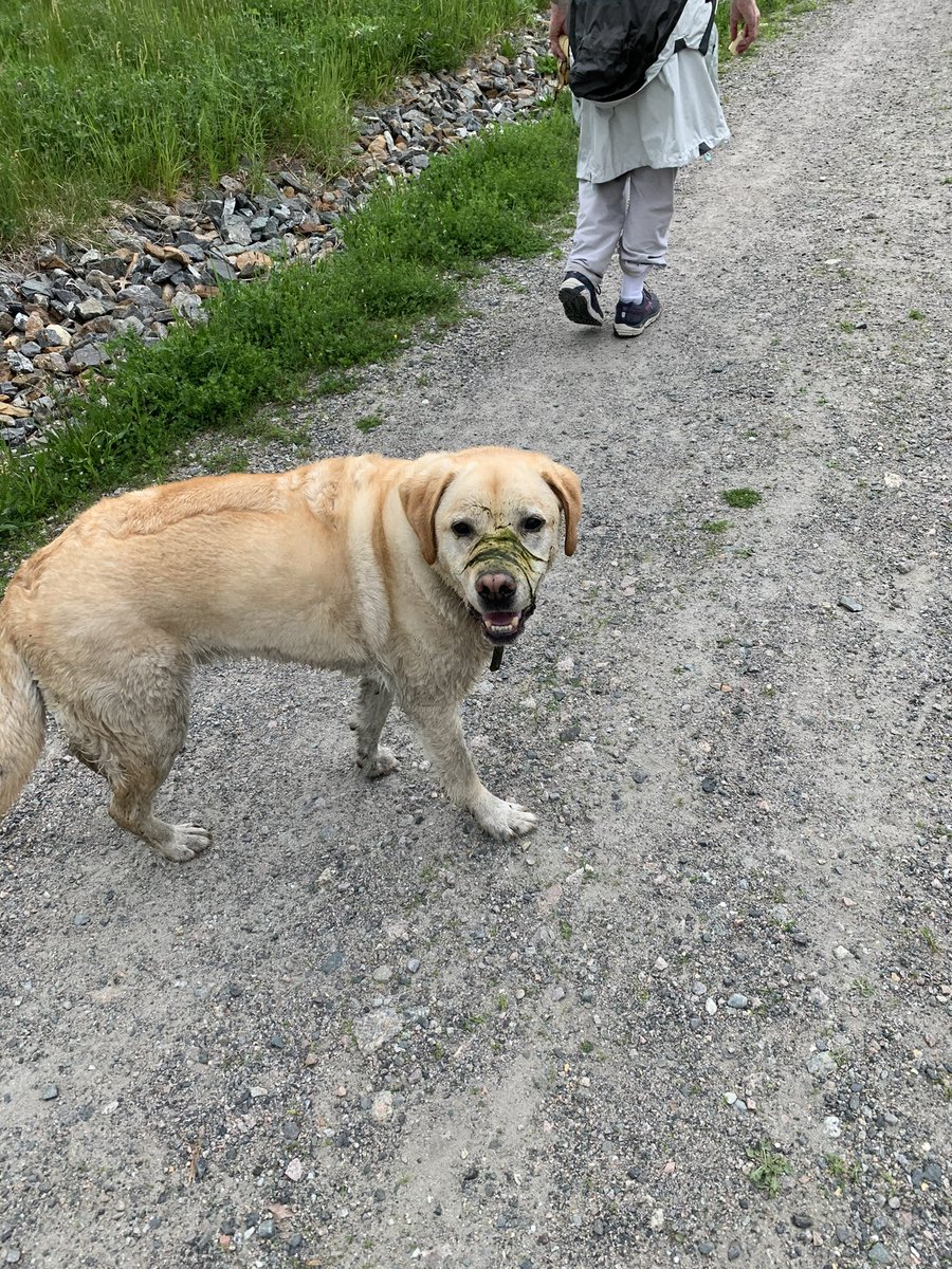 Mr Chronicle tweet media