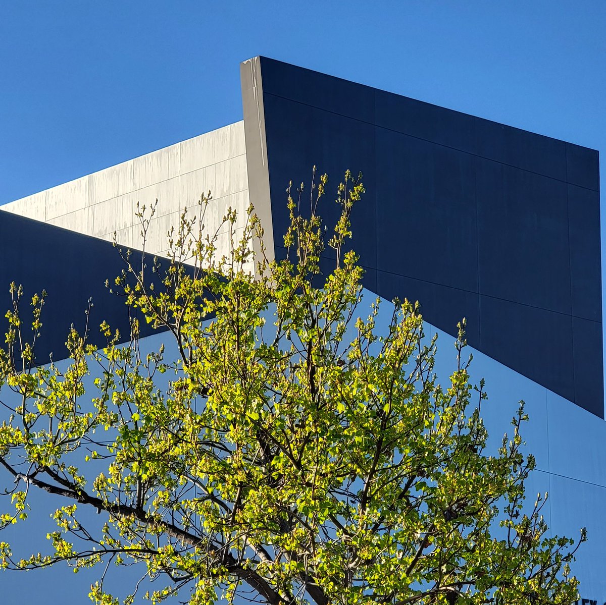 Happy Spring Break, Lasers! Please remember to remain safe, healthy, and make smart life choices. 

Campus will still be open next week in case you need any assistance. However, campus will be closed Friday, March 25. 

#irvinevalleycollege #ivc #irvine #springbreak