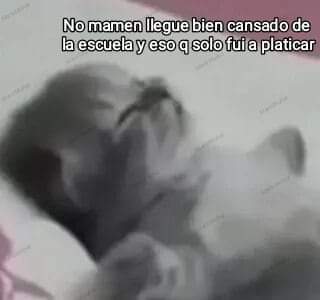 MexaSherloK's tweet photo. @_Contla https://t.co/FStCFC8v0z