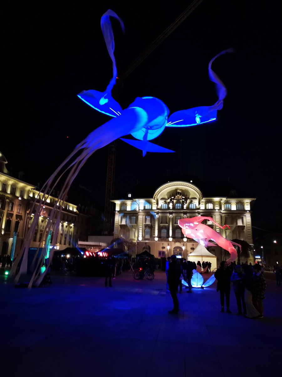 Fly over the museum night