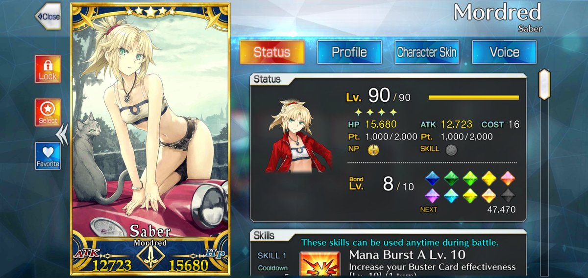 Saber's looking fine.
