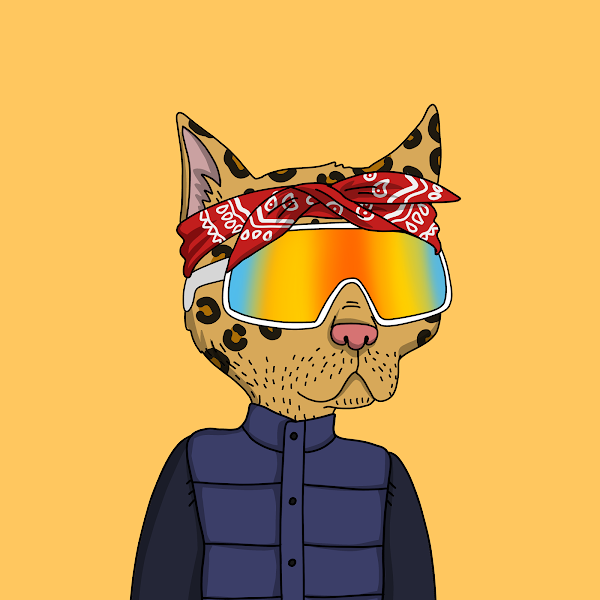 orangeape.eth 🍊 tweet media