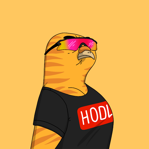 orangeape.eth 🍊 tweet media
