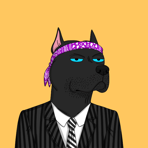 orangeape.eth 🍊 tweet media