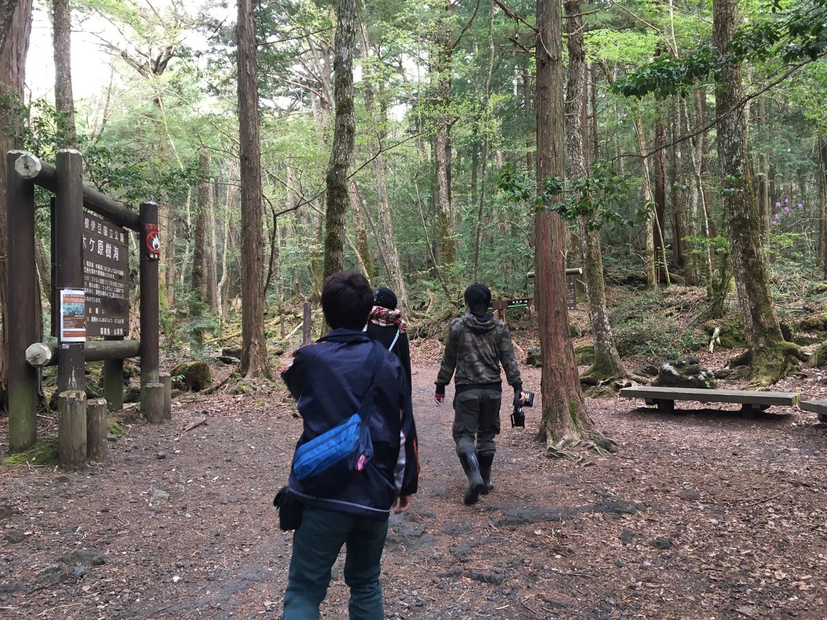 0720Naoya's tweet photo. 殆どの廃墟・心霊投稿者が引退し、
憧れだった方達はもういない…。

まあ、うp主も色々ありましたが
コロナ禍と闘い、今は結婚して、
プライベートも忙しい感じです。笑

【もう危ないリスクは取れません】

話をしだすと尽きないので、
「振り返り」はここまで。笑
※Twitterはこれからも呟きます☆ https://t.co/HVVYRUfOGy