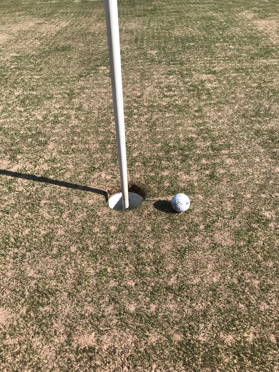 TheTomlins's tweet photo. How close was I to my first hole in one today? ⛳️ 
This close! Dead straight, couple of inches short. If it weren’t for the greens being sanded, it would be an ace. 
It was nervy, but sunk the putt for my second birdie of the day. https://t.co/1T8XsZ3d8H