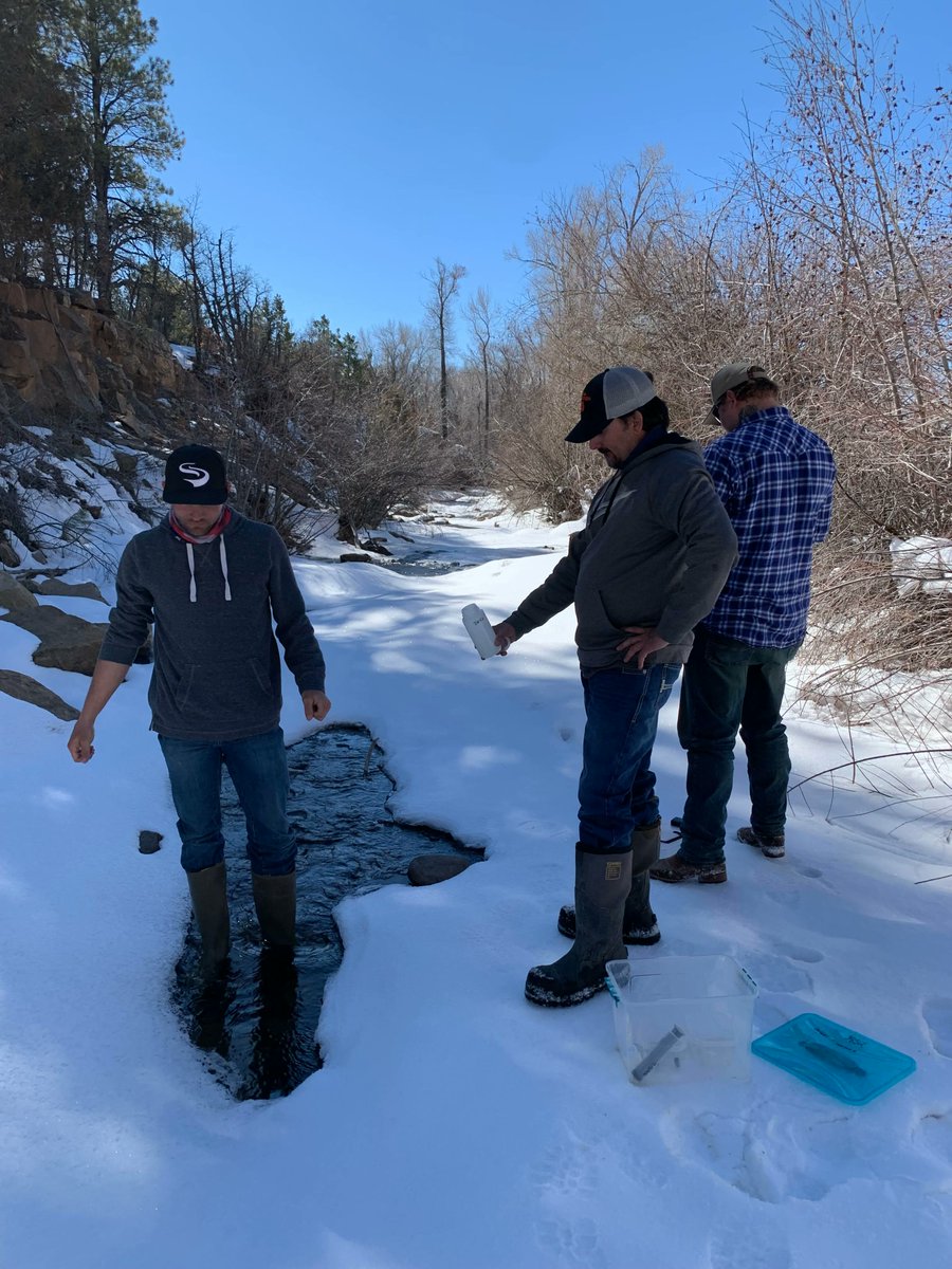 RiverWatchCO's tweet photo. Sampling with Mancos Conservation District. Happy Friday! https://t.co/sA38UUyjPO