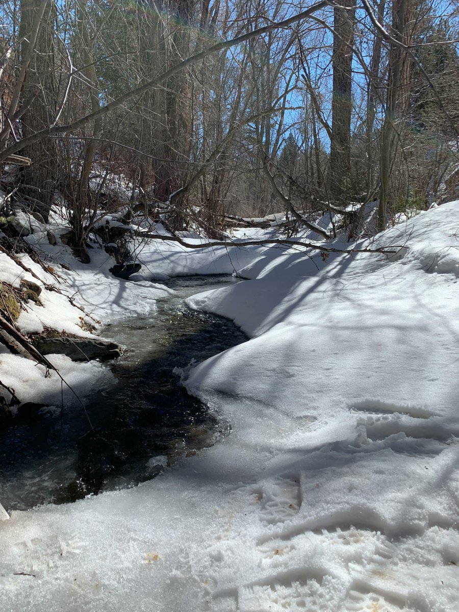 RiverWatchCO's tweet photo. Sampling with Mancos Conservation District. Happy Friday! https://t.co/sA38UUyjPO